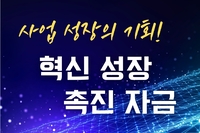 사업 성장의 기회, 혁신성장촉진자금